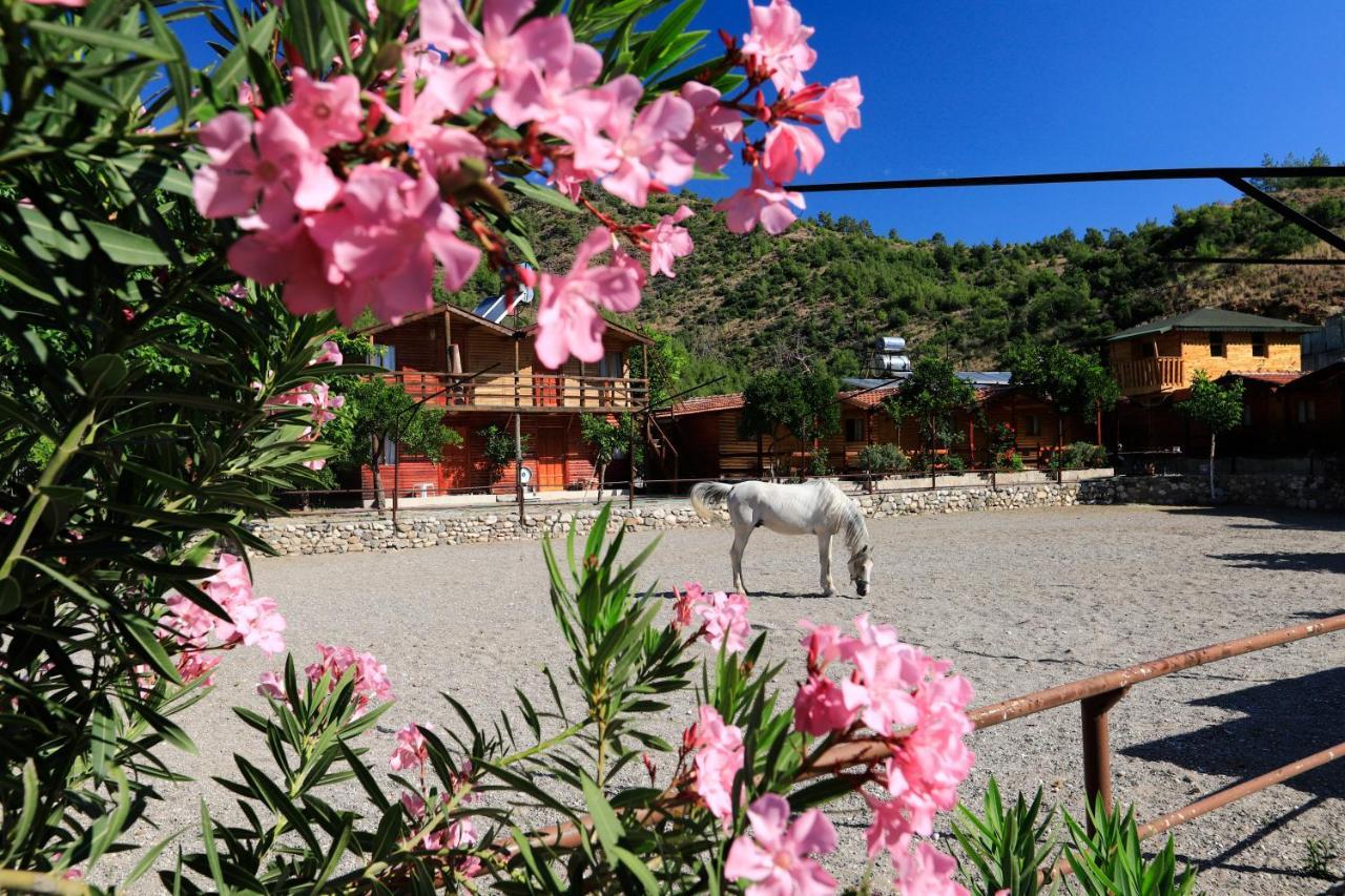 Oranj Ranch Hotel Kemer Exterior photo