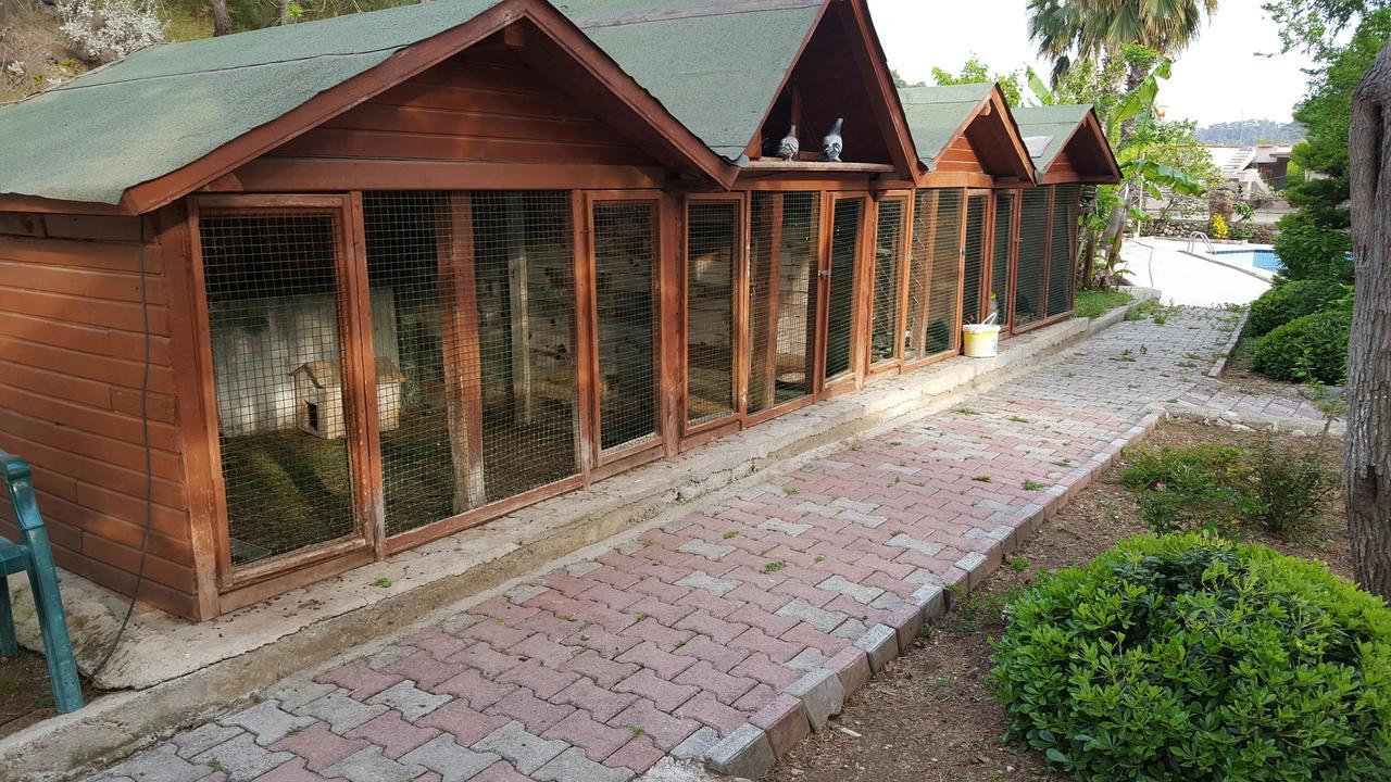 Oranj Ranch Hotel Kemer Exterior photo